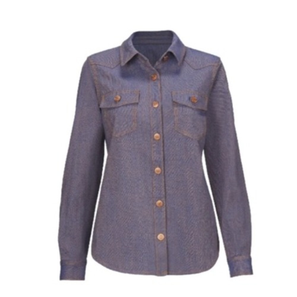 Cabi Women Blue Tan Denim Style Button Down Shirt Style 4299 Size Large